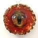Shark eye necklace, Glass taxidermy eyeball with silver chain.
