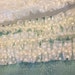 Cream Sheer Dotted Ruffled Trim 2.5 yards