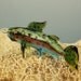 Lampwork Glass Rainbow Trout Fish Pendant Focal Bead Collectable