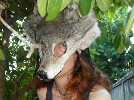 Wolf mask headdress Real grey wolf fur totem mask by thegreenwolf