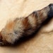 Fox tail - Real eco-friendly red fox fur totem dance tail on extra strong carabiner keychain purse charm for shamanic ritual and dance RF08