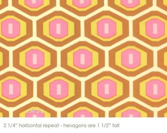 SALE Rust Honeycomb - Amy Butler Midwest Modern AB25