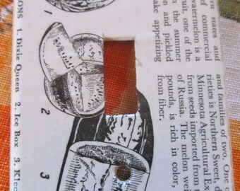 vintage dictionary WATERMELONS light switch plate