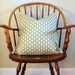 Schumacher "Betwixt" in Water - 20" Pillow Cover - Pattern on Both Sides