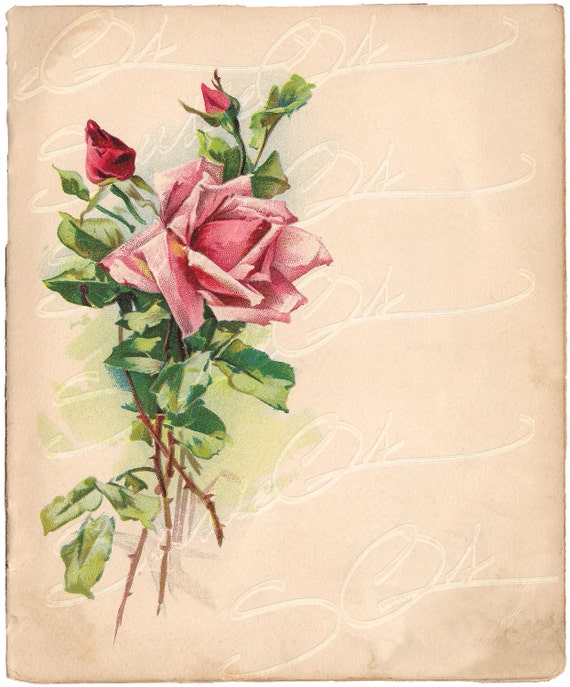 Items similar to Vintage Victorian Rose Rose Full Color Illustration on ...