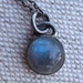 Labradorite Drop Necklace
