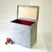 Vintage Metal Milk Box - Planter - Tool Box - Garden Tool Container