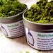 matcha tea