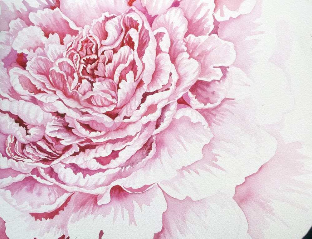 Pink Peony original watercolor painting