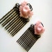LIght Pink Owl Antique Brass Hair Combs Woodland Neon Victorian burlesque fusion regency Austen Simple Chic Trendy Bronze EGL