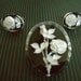 Vintage reversed carved lucite BROOCH and EARRING set