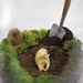 Squirrel Pet Cemetery Terrarium