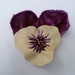SALE - Pansy For Thoughts Dress Clip / Hair Clip