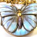Pastel Butterfly Locket Necklace