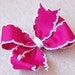 Shocking Pink and White 3 Inch Moonstitch Hairbow