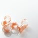 10pcs Hand Blown Hollow Glass Beads-Clear with Orange and Brown 13.5mm (22H3)