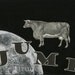 ARTWORK. The Apprentice Cow. Black and white 100 percent ecofriendly art