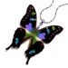BUY 2 GET 1 FREE - REAL BUTTERFLY WING Necklace \/ Pendant (WHOLE Graphium Weiskei Purple Spotted Butterfly - W019)