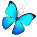 Real Butterfly Wing Necklace / Pendant (WHOLE Iridescent Blue Morpho Menelaus Butterfly - W021)