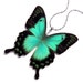 Real Butterfly Wing Necklace / Pendant (WHOLE Green Papilio Lorquinianus Butterfly - W014)