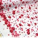Japanese fabric Lolita Print Flowers and stripes
