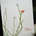 letterpress birthday sample pack