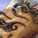 Anela's Hawaii Wood Organic Fake Gauges Earrings Tribal Expander Split LG