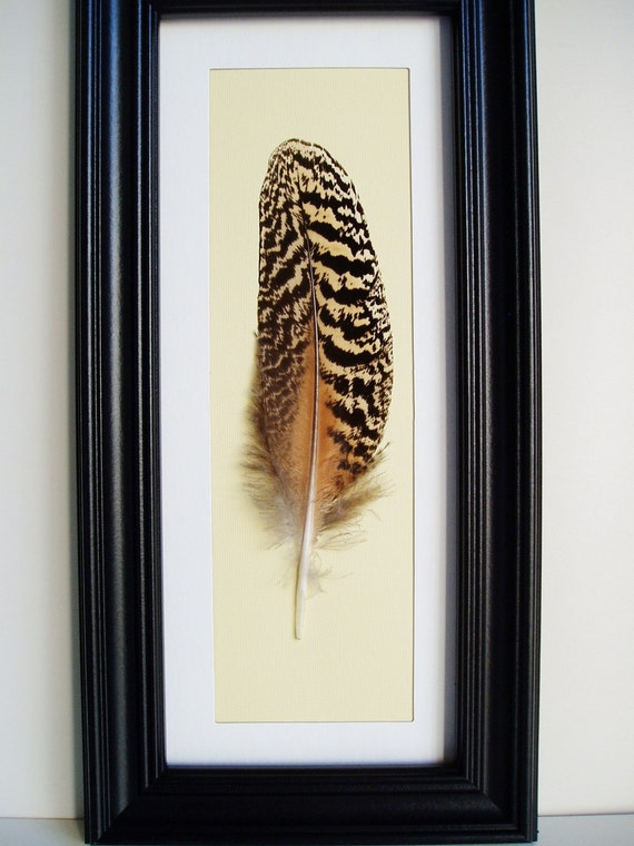 Bird Feather Framed by theOceanBlueCo on Etsy