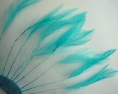 HALF PINWHEEL Beaded Feathers / Aqua Blue, Turquoise  /  1237