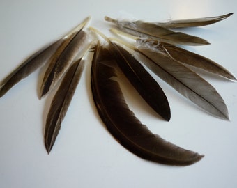 LOOSE BABY DUCK Feathers, Perfect for Beginners, Natural Grey / 2059