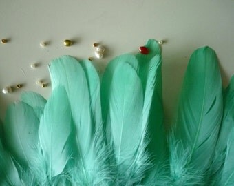 GOOSE FEATHER FRINGE , Caribbean Aqua Green / 448