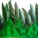 COQUE FEATHER , Exclusive Quality / Iridescent Forest Green / 144