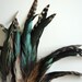 COQUE TAIL FEATHER Loose , Grizzly and Iridescent Striped Natural / 927