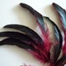 COQUE TAIL Feathers Loose / Iridescent Black and Burgundy / 162