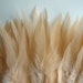 BELLA COQUE SADDLE, Excellent Quality / Light Peach, Persimmon / 113