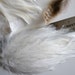 FEATHER PAD Light Ivory, Cream / 127