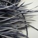 GOOSE BIOT FEATHERS, Gun Metal Grey / 730
