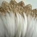 VOGUE COQUE HACKLE / Off White / 841