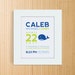 Custom Birth Announcement Print - WHALE Wall Art