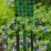 Suncatcher Wind Chime - Blue Green Purple