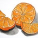 Juicy Clementine, original watercolor painting