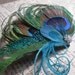 Peacock Fascinator--Made to Order
