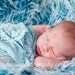 Mongolian Frosted Faux Fur Nest Photography Prop in Beautiful Turquoise Color perfect for Newborn Baby Toddler Pictures, Size 30 x 20
