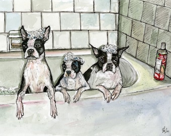Boston Terrier Dog Art Print