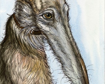 The Perfect Gentleman Lurcher Hound Dog Print