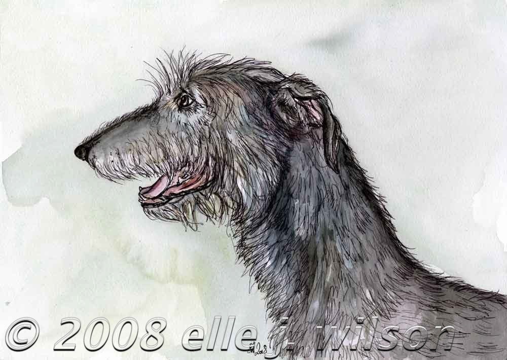 Irish Wolfhound Art Dog Print
