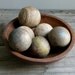 vintage ball instant collection