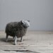 humble sheep