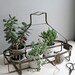 metal bottle carrier