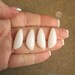 White Agate Petal Mirror Image Briolette Matched Bead Half Drilled 1 Pair